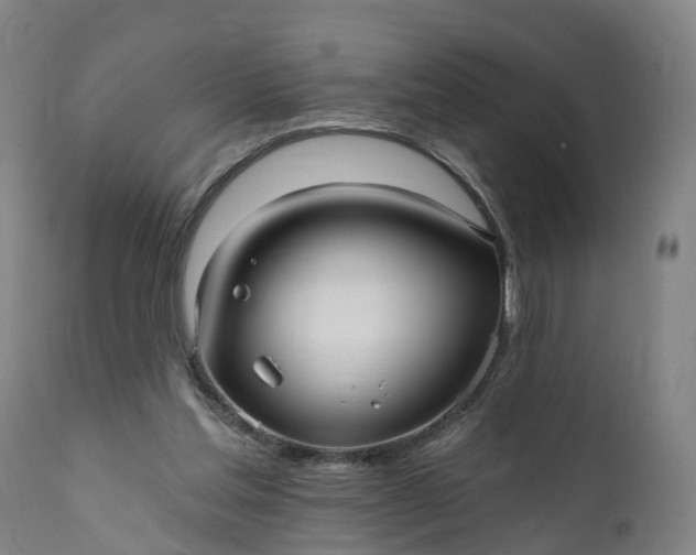 X0000111640205200907311300