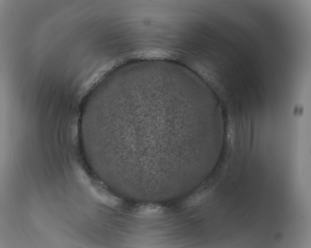 X0000111640206200907311300