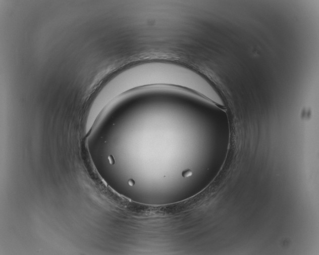 X0000111640207200907311300