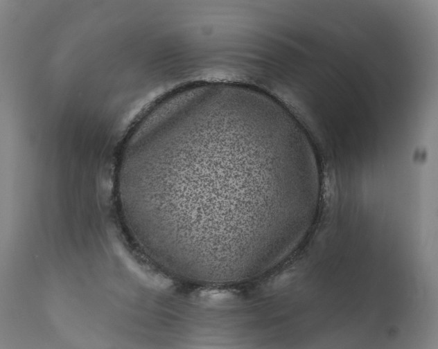 X0000111640208200907311300