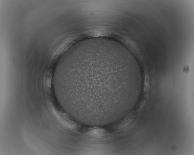 X0000111640210200907311300