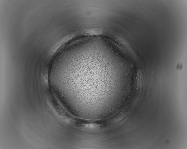 X0000111640212200907311300