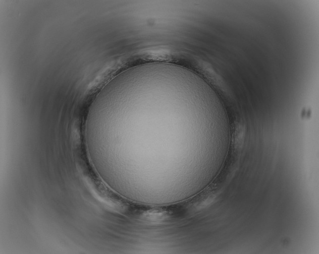 X0000111640213200907311300