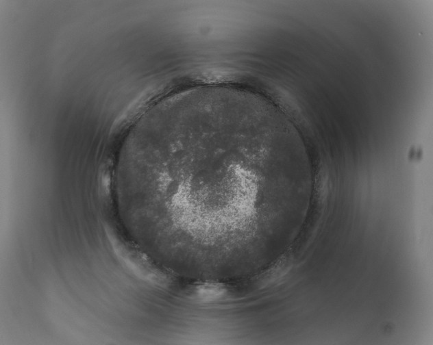 X0000111640214200907311300