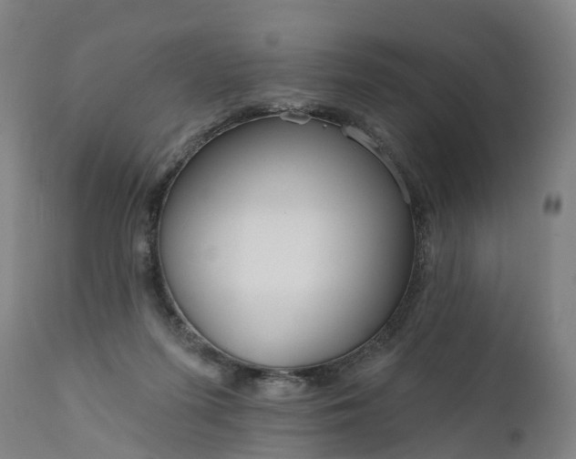 X0000111640215200907311300