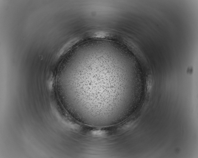 X0000111640216200907311300