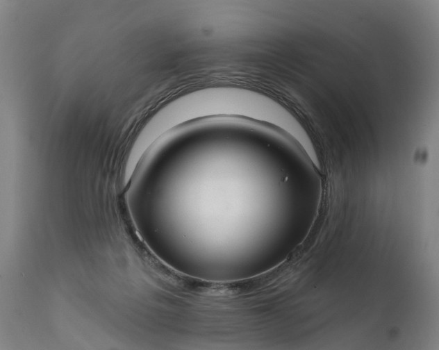 X0000111640217200907311300