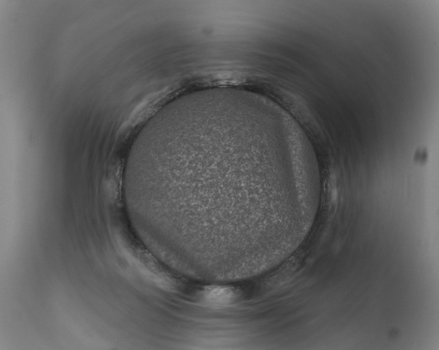 X0000111640218200907311300