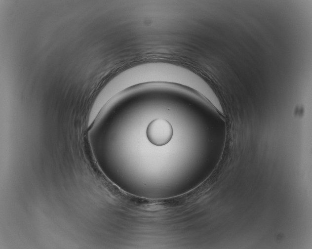 X0000111640219200907311300