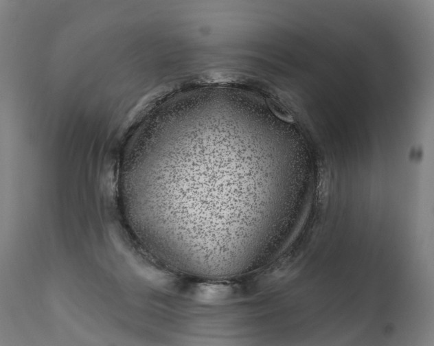 X0000111640220200907311300