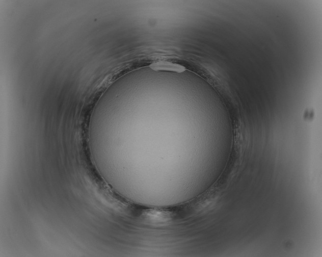 X0000111640221200907311300