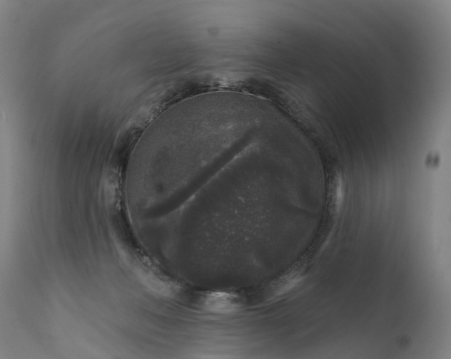 X0000111640222200907311300