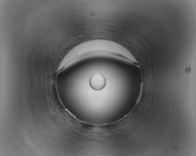 X0000111640223200907311300