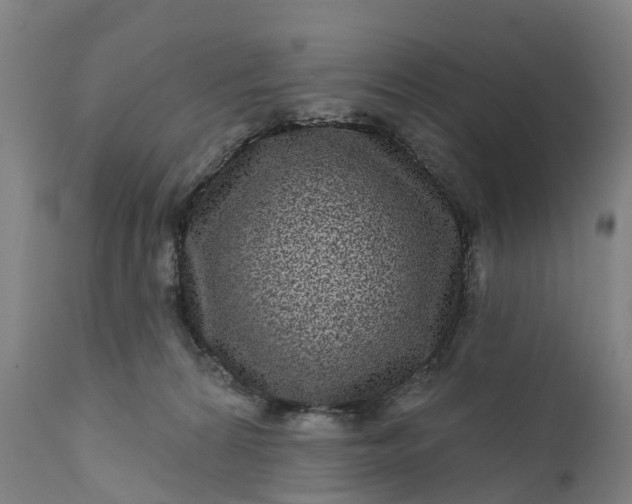 X0000111640224200907311300