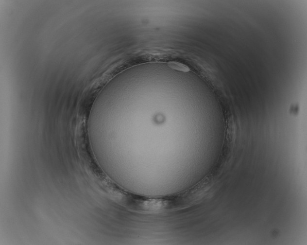 X0000111640225200907311300