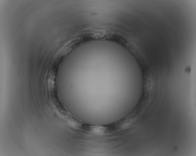 X0000111640226200907311300