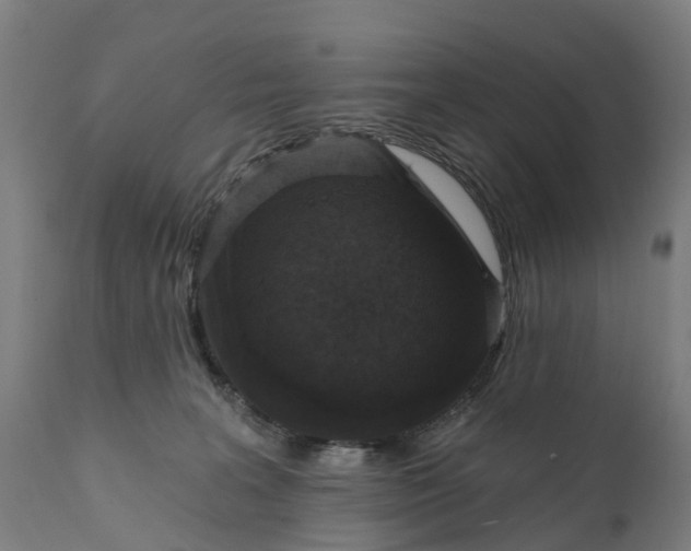 X0000111640227200907311300