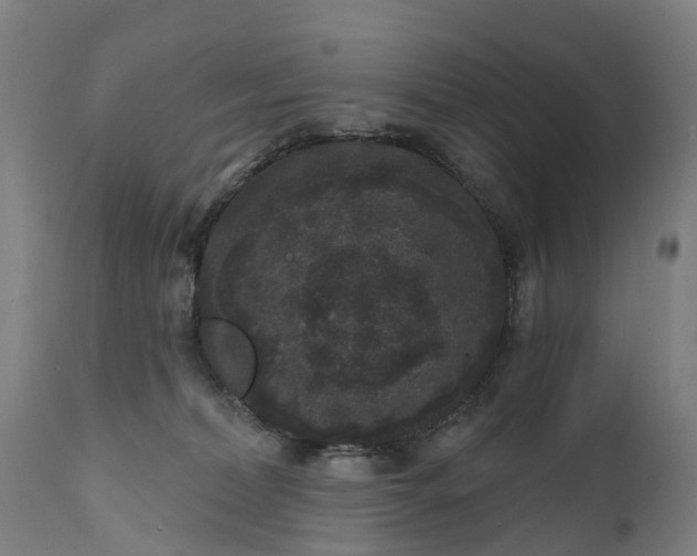 X0000111640228200907311300