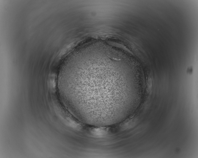 X0000111640232200907311300