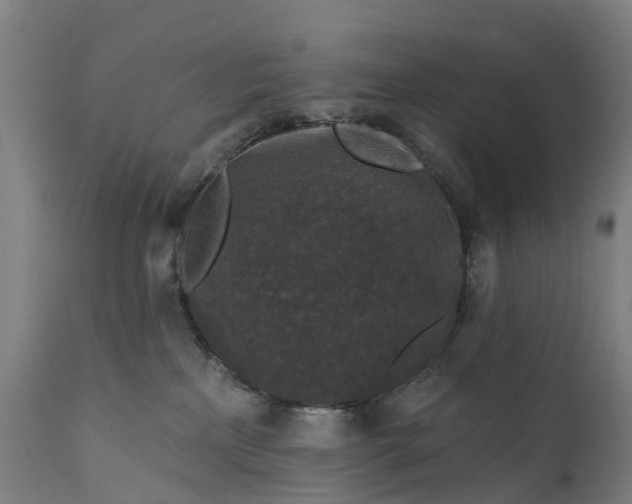 X0000111640233200907311300