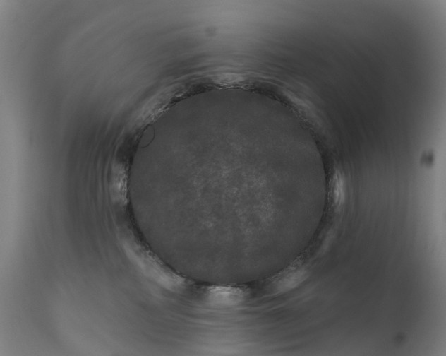 X0000111640234200907311300