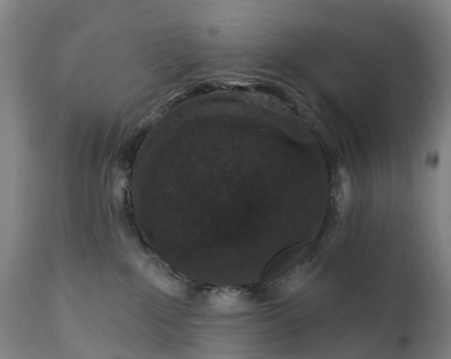 X0000111640235200907311300