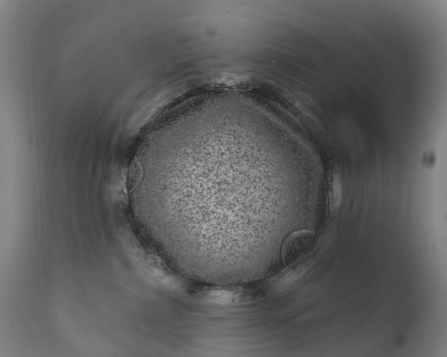 X0000111640236200907311300