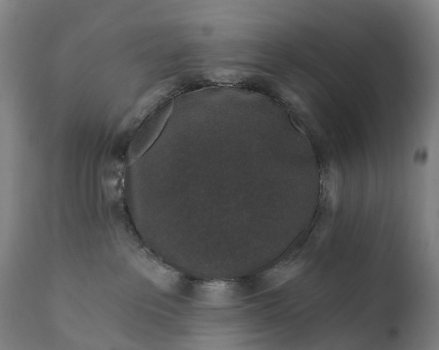 X0000111640237200907311300