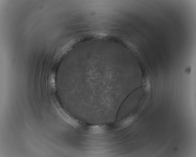 X0000111640238200907311300