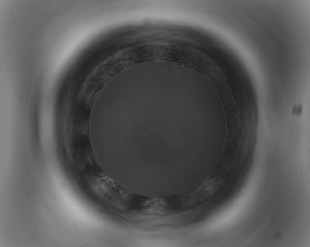 X0000111640239200907311300