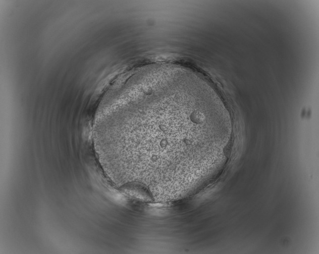 X0000111640240200907311300