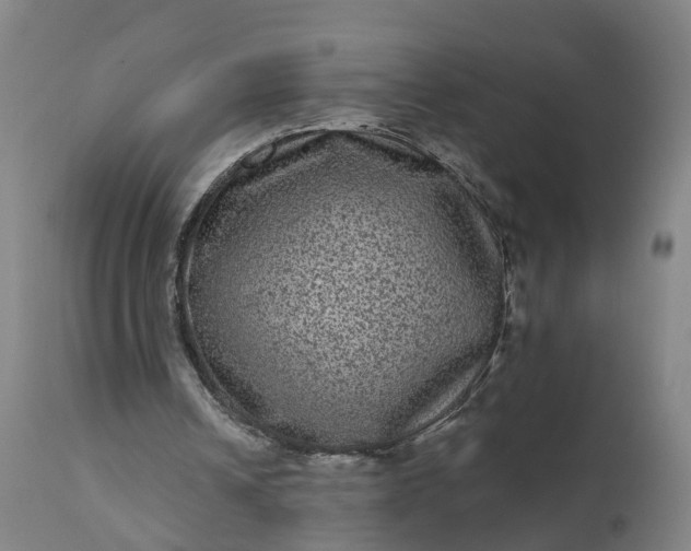 X0000111640242200907311259