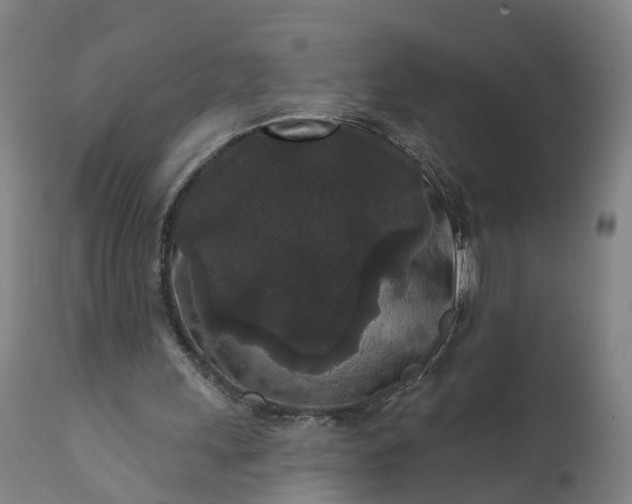 X0000111640243200907311259