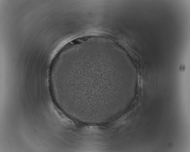 X0000111640244200907311259