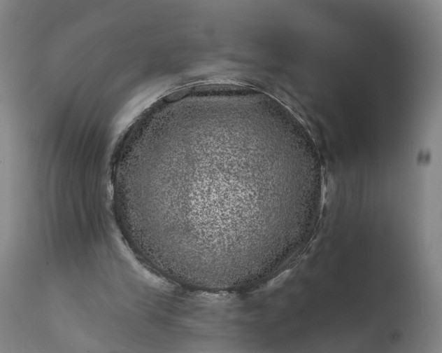 X0000111640245200907311259