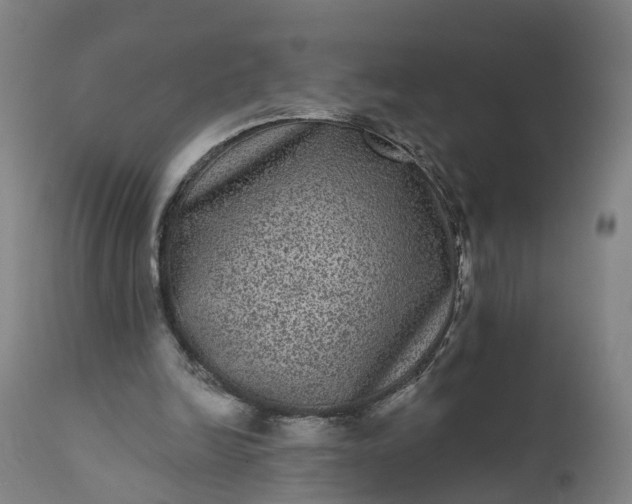 X0000111640246200907311259