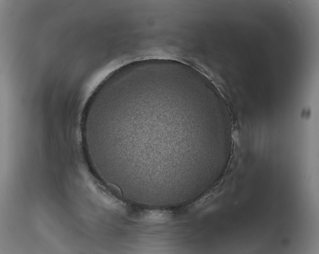 X0000111640248200907311259