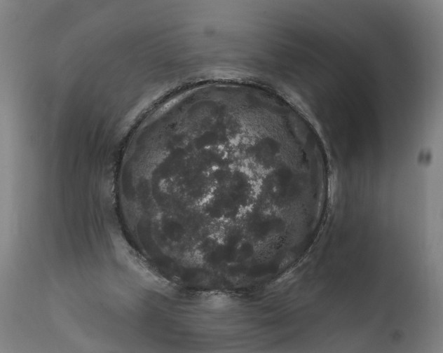 X0000111640249200907311259