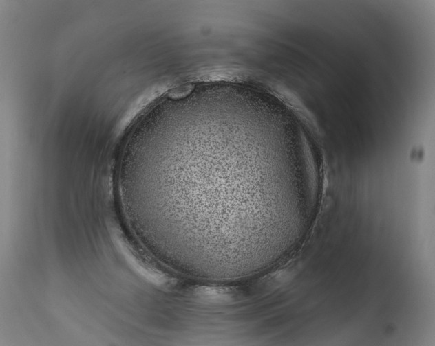 X0000111640250200907311259