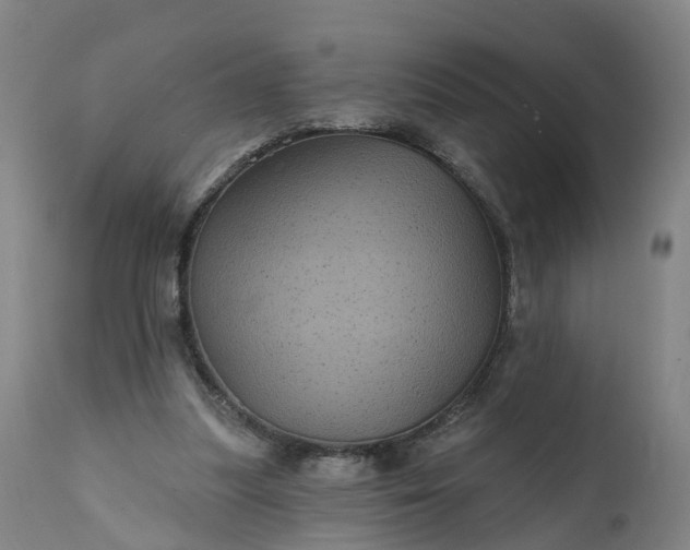 X0000111640251200907311259