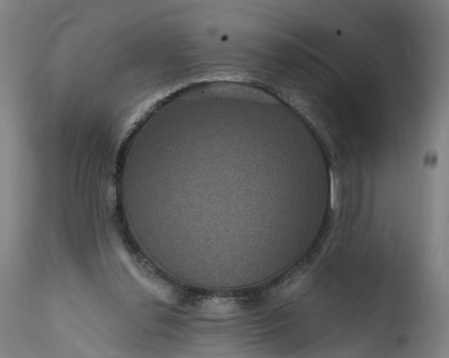 X0000111640252200907311259