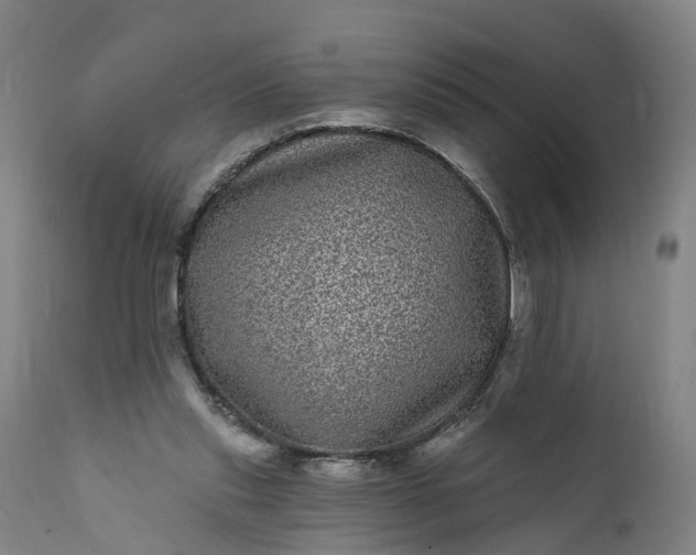 X0000111640253200907311259