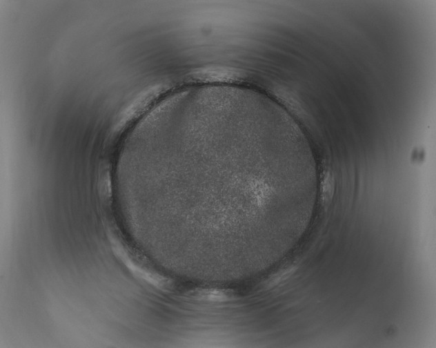 X0000111640254200907311259