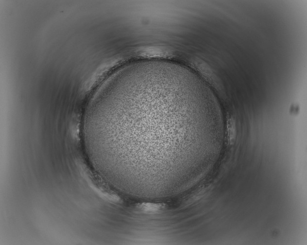 X0000111640255200907311259