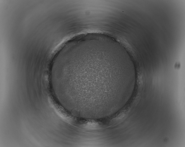 X0000111640256200907311259