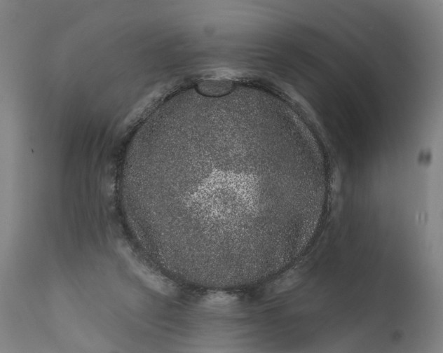 X0000111640257200907311259