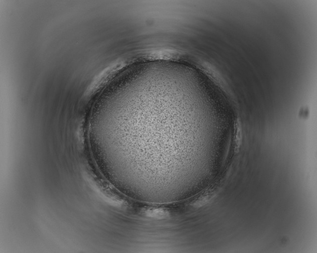 X0000111640258200907311259