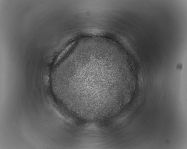 X0000111640259200907311259