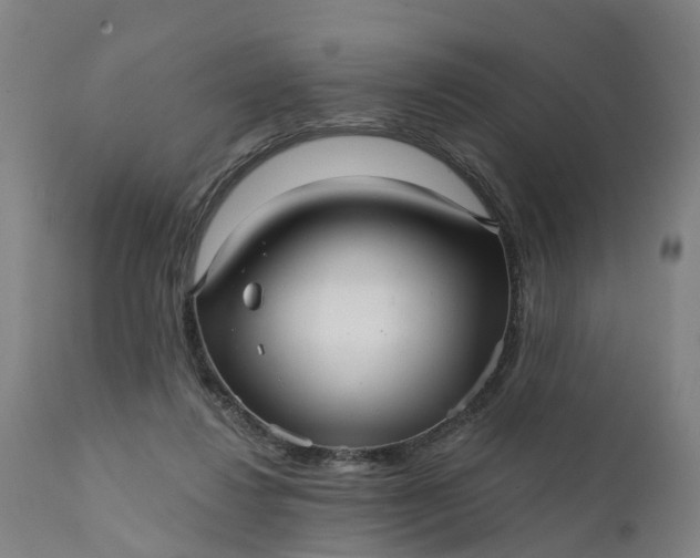 X0000111640260200907311259