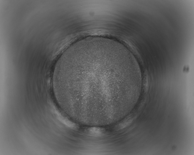 X0000111640261200907311259